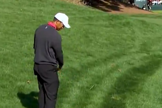 PGA Tour, LIV Golf League, DPWT, Tiger Woods, Golf es duro, Rough, Videos de Golf,