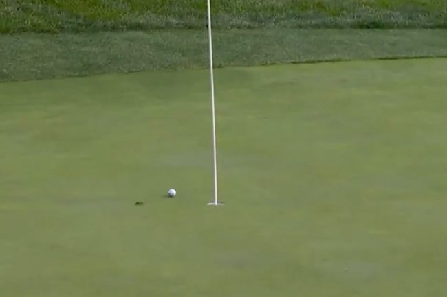 Vídeos de Golf, Ryder Cup, Bethpage Black, Tommy Fleetwood,