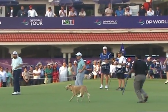 DPWT, DP World India Champ 25 j1, Delhi GC, Perro, Videos de Golf,