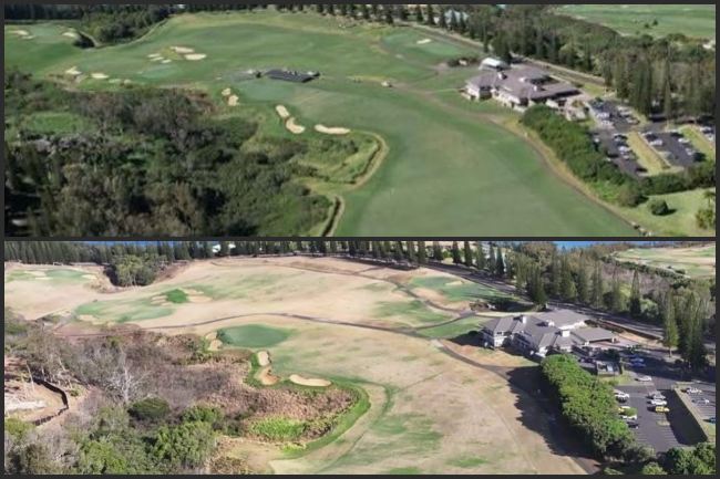 PGA Tour, The Sentry, Sony Open, Tyler Dennis,