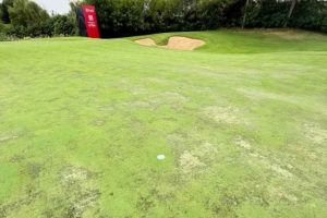 LPGA, Qizhong Garden GC, Greens,