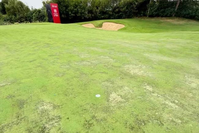 LPGA, Qizhong Garden GC, Greens,