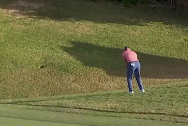 PGA Tour, Bermuda Champ, Port Royal, Top 5, Videos de Golf,