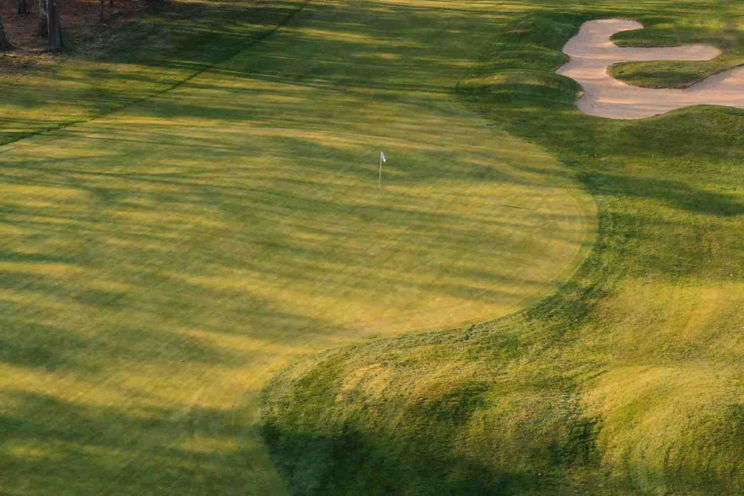 Green Monster, International Golf Club, 