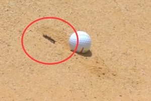 Marcus Armitage, Nedbank Golf Challenge, DP World Tour, Reglas de Golf, Vídeos de Golf,