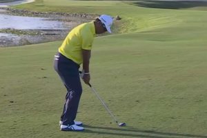 PGA Tour, Hero World Challenge 25 j4, Albany, Hideki Matsuyama, Videos de Golf,