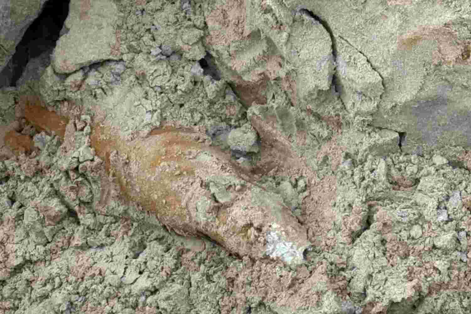 Royal Liverpool, Misil,