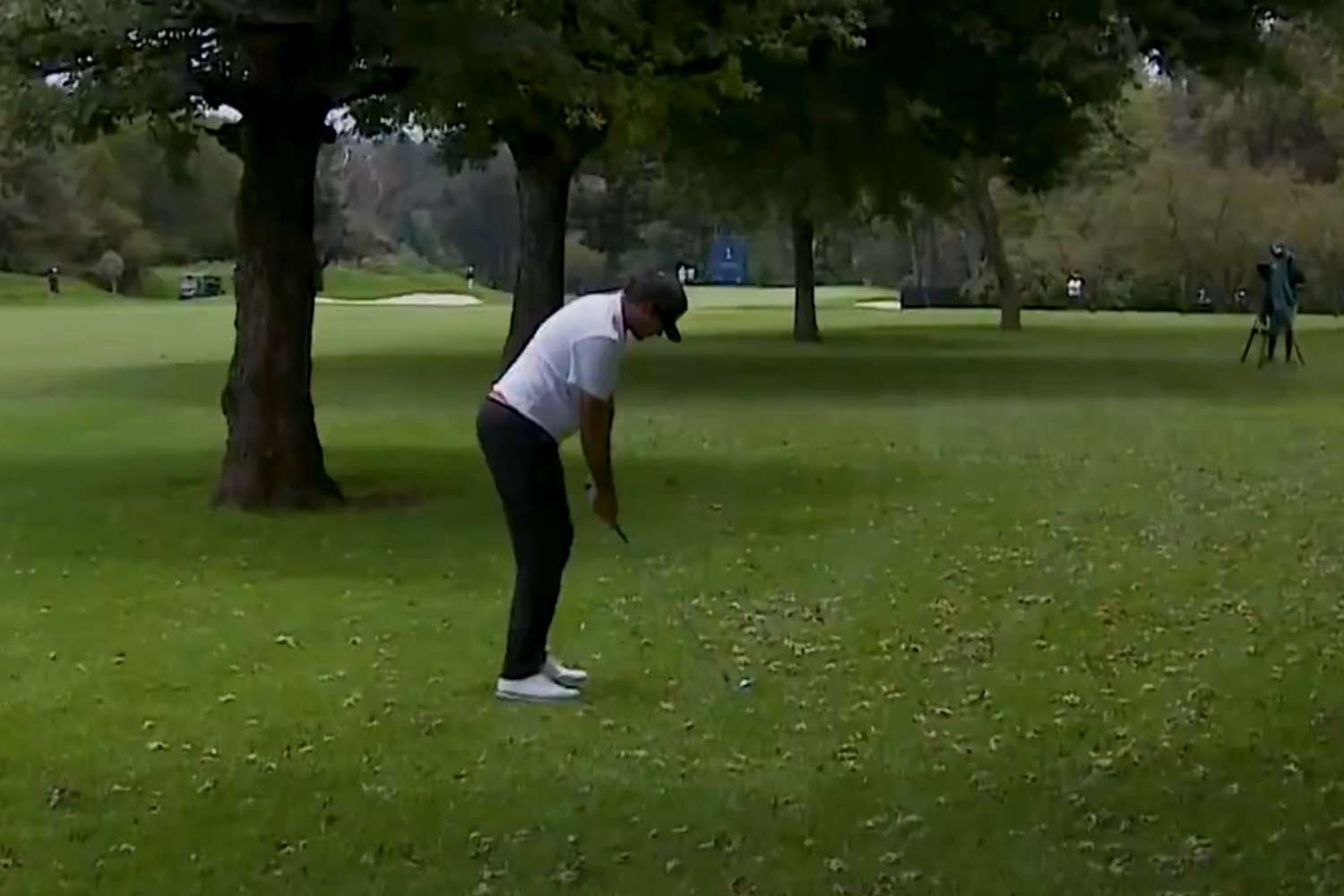 DPWT, Eugenio Chacarra, Videos de Golf, Albatros,