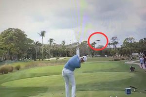 Animales en Golf, Cognizant Classic, PGA National, PGA Tour, Ryan Gerard, Vídeos de Golf