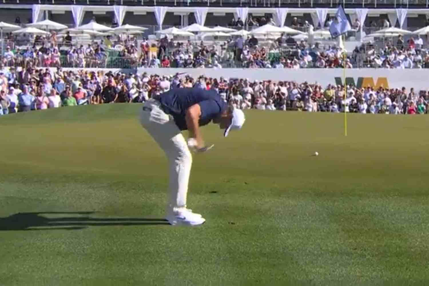 Scottie Scheffler, Phoenix Open, Vídeos de Golf, PGA Tour, 