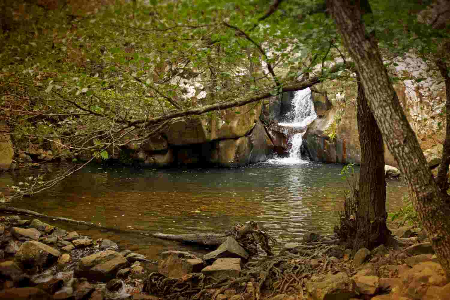 Campo de Gibraltar, Mancomunidad Campo de Gibraltar, Turismo Campo de Gibraltar, Susana Pérez Custodio,