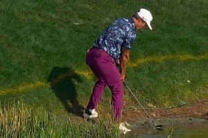 PGA Tour, Cognizant Classic 26, PGA National, Trampa del Oso, Videos de Golf,