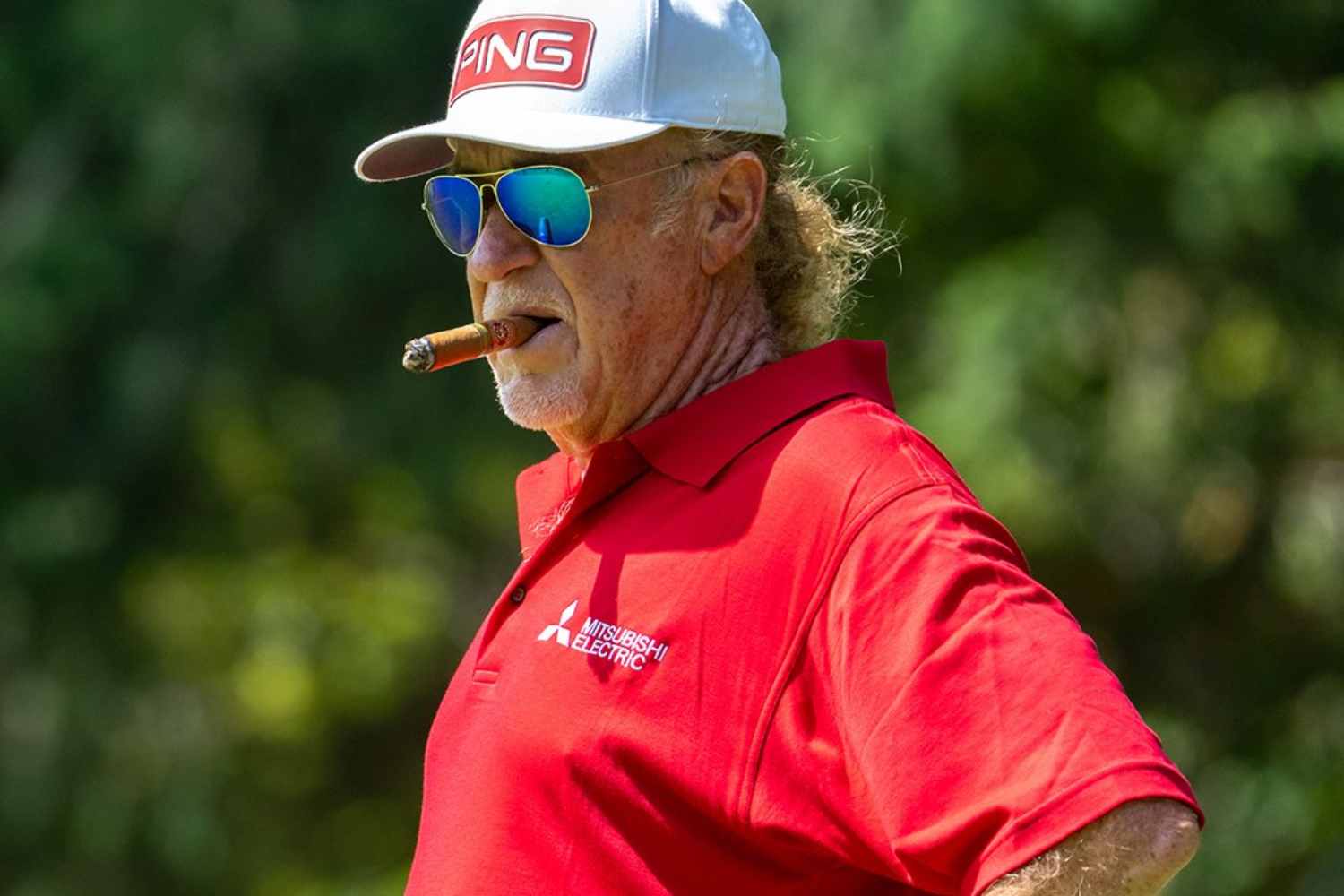 Champions Tour, José María Olazábal, Miguel Ángel Jiménez, Regions Tradition, Stewart Cink,