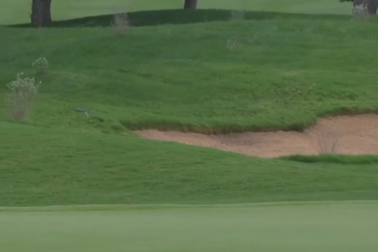 PGA Tour, CJ Cup Byron Nelson 26 j1, TPC Craig Ranch, Ryo Hisatsune, Videos de Golf,