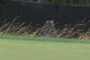 PGA Tour, Rocket Classic 26 j1, Detroit GC, Matthieu Pavon, Videos de Golf,