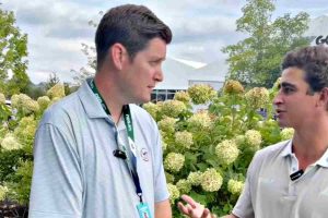 Declaraciones Luis Masaveu, Luis Masaveu, LIV Golf, Jon Rahm,